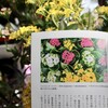 「佐久の季節便り」、氷雨1.5ミリ、炬燵で、テレビ・読書三昧を決め込んで…。