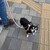 まろにー4020日目