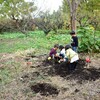 くりのき山　あそぼう会(仮称)