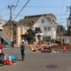 ロータリーに街路樹が植えられました