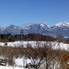 大雪から一夜明けて！眩いばかりの雪景色です