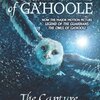 The Capture (Guardians of Ga'hoole)	The Capture (Guardians of Ga'hoole)