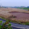 鶴枝遊水公園の調節池（千葉県茂原）