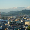 市民の森・早朝の風景