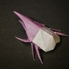 おりがみ：ヘラクレスオオカブト (Origami : Hercules giant beetle)