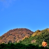 山歩き～奈良・二上山（にじょうざん）～