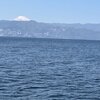 春の海はるかに富士見ゆ初島の