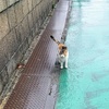 雨の金曜日