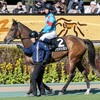仕事なのか休みなのか、それが問題です。