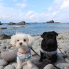 2019 犬連れ北海道旅行 3日目