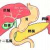 メモ　糖尿病