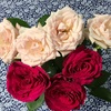 【42】バラの花束