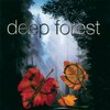 【今日の一曲】Deep Forest - Marta's Song