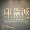 モネの睡蓮が見たくて…