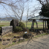 平原塚古墳（津袋古墳群） 熊本県山鹿市鹿本町津袋