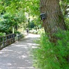 赤塚植物園に写真撮りに行きました、その５。