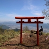 ピンクのお花の雨引山登山