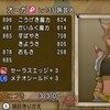LV上げ用の状態異常装備ブメ旅装備ってどんなの用意すりゃいいの？