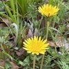 信じる心と疑う心（2）恵みの高き嶺へ