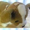 K、犬のぬいぐるみに対して、さらに…。