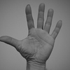 41