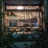 昼夜はんぶんこ　秋の日コンサート