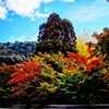 京都ぶらり　本日の一枚　永観堂