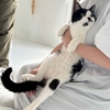 2匹目トライアル🐈‍⬛