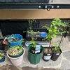 ダブル台風の長雨に備えて