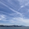 心地よい風と、季節を彩るアジサイたちに出会う