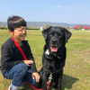 うんこ事件、発生。そして私たちは施設入所を考え始めた。