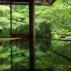 初夏、新緑浴びる瑠璃光院