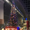 12/9～12/15　今週のまとめ　（2019-W50）