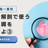 【鶏ハツ③】全班がちゃんと手に入れてきた。解剖は、へー中学生でここまでやるのね、という濃い内容。