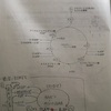 高校生物の勉強法