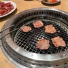 焼肉で力をつけたあとは、大根の皮づくし