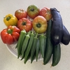 実家の耕作放棄地で野菜作りの予定