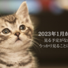 見る予定がなかったのに見てしまった2023年冬ドラマ3本