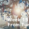 【15週目】エキゾチックで神秘的な国トルコで感じたこと