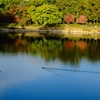 航跡
