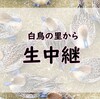 カモの里…いや、白鳥の里です