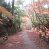 【奈良攻略】若草山に春日山遊歩道を使って登ります。