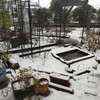 ついに来たか冬将軍。負けるなクリロー。
