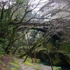 山中温泉〜金沢〜富山