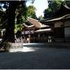 大神神社写真館（６/２８）