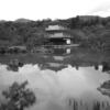 京都に遊びに行って来ました。。