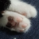 ヨメにバレたら大変！