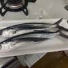 ツルヤで出会ったトビウオがまるでタイみたいに美味しかった