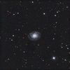 ＮＧＣ３４８６：こじし座の渦巻銀河