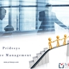 Management Reporting And Analysis | Pridesys IT Ltd